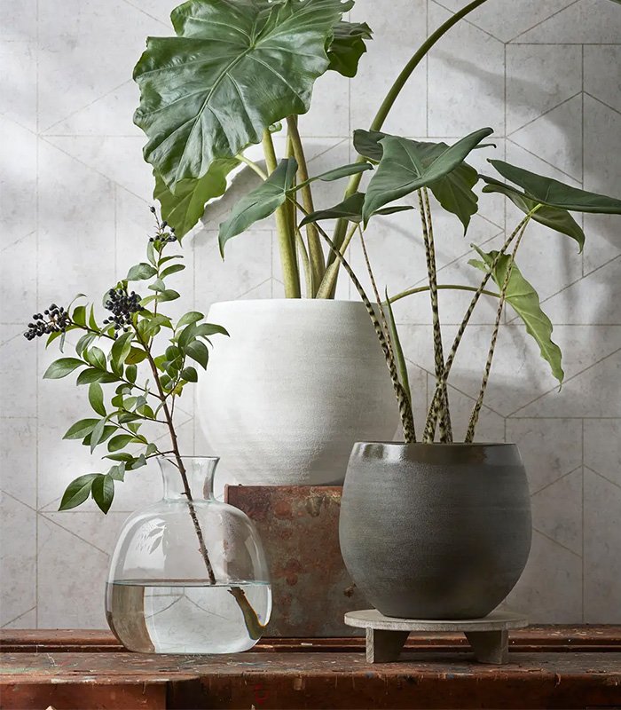 w planters 6 0