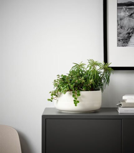 w planters 8 0